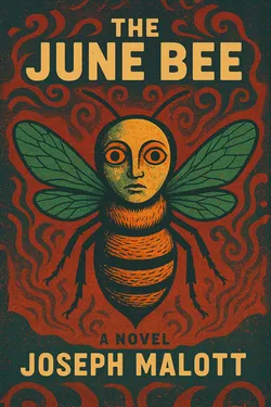 Cover of The June Bee