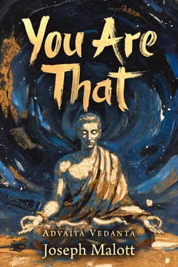 Cover of You Are That
